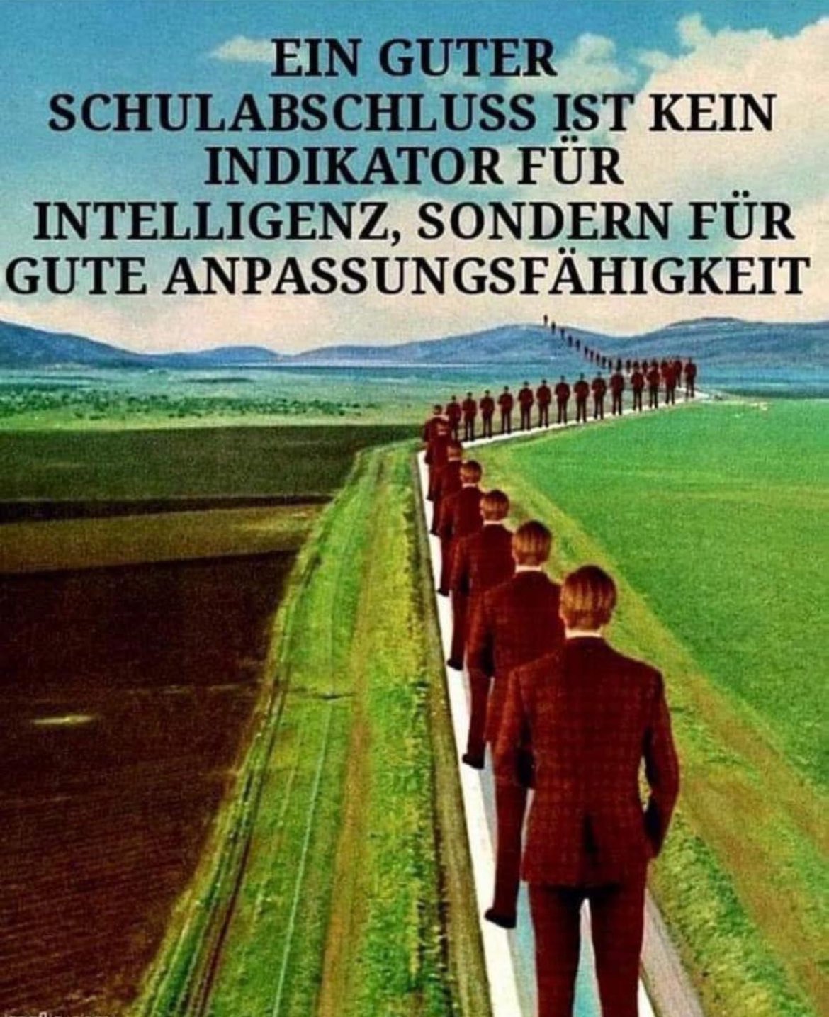 schulabschluss Gesellschaft