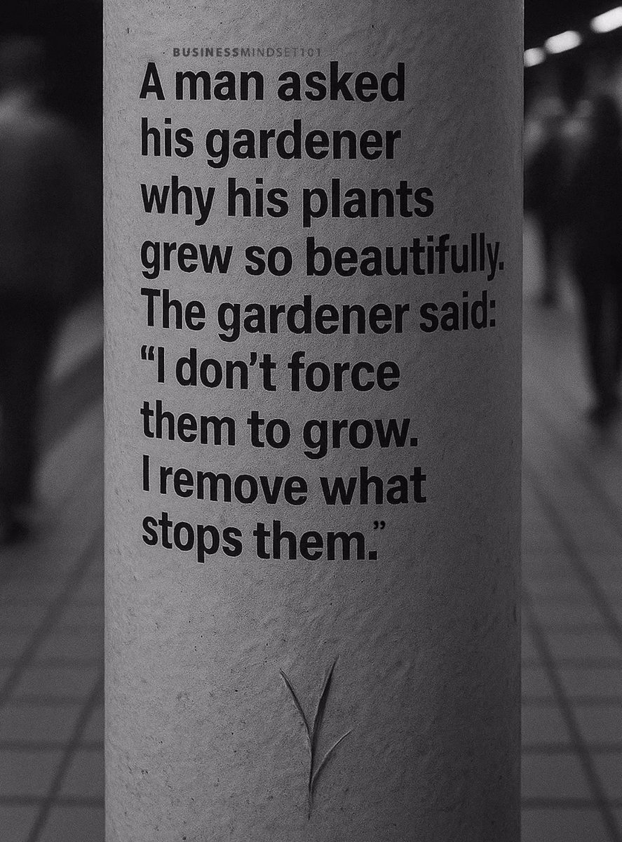 IMG_4610 Und sie hielten sich t&auml;glich alle, einfach immer noch f&uuml;r die Intelligentesten hier,