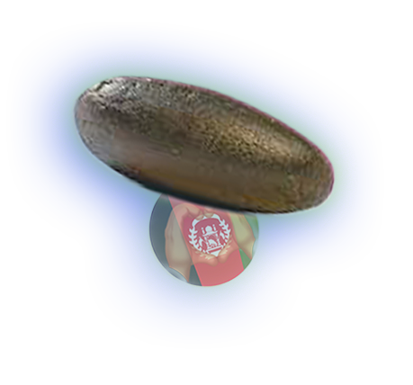 afghane-button2 HOLY FUCK Alter, Gott verdammte Maden im Garten!!!