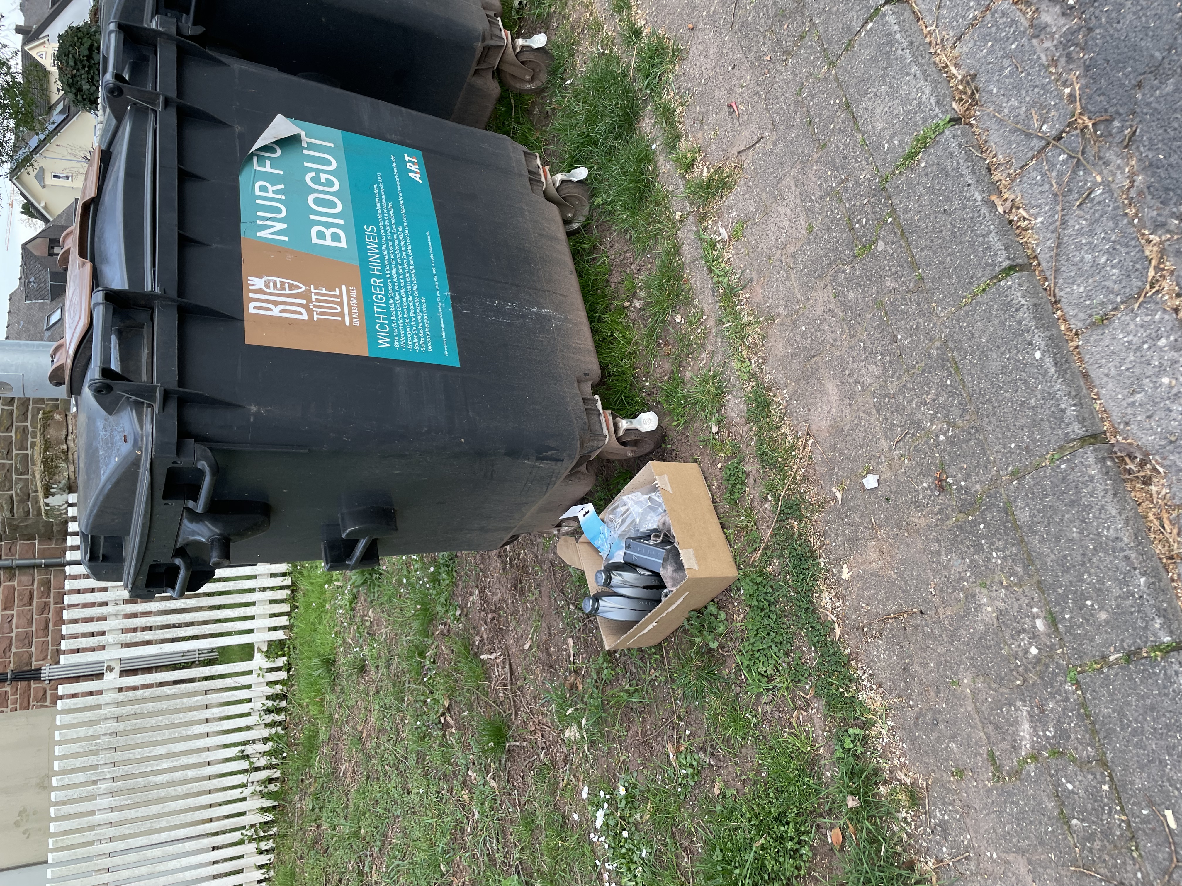 IMG_0579 Boss Oder Leader? Alpha Mann oder M&auml;nnchen, Ortsvorsteher oder