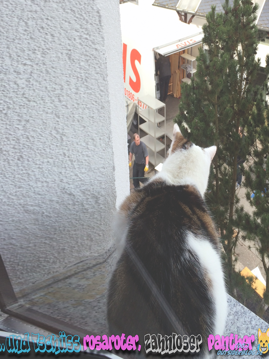 blog-paulchenmachtaufpanther2 Liebe Nachbarn und Liebe Leser,  was bedeutet es, wenn ein Betrüger Pärchen die Betrüger Welt, zur Zeit nicht mehr versteht?