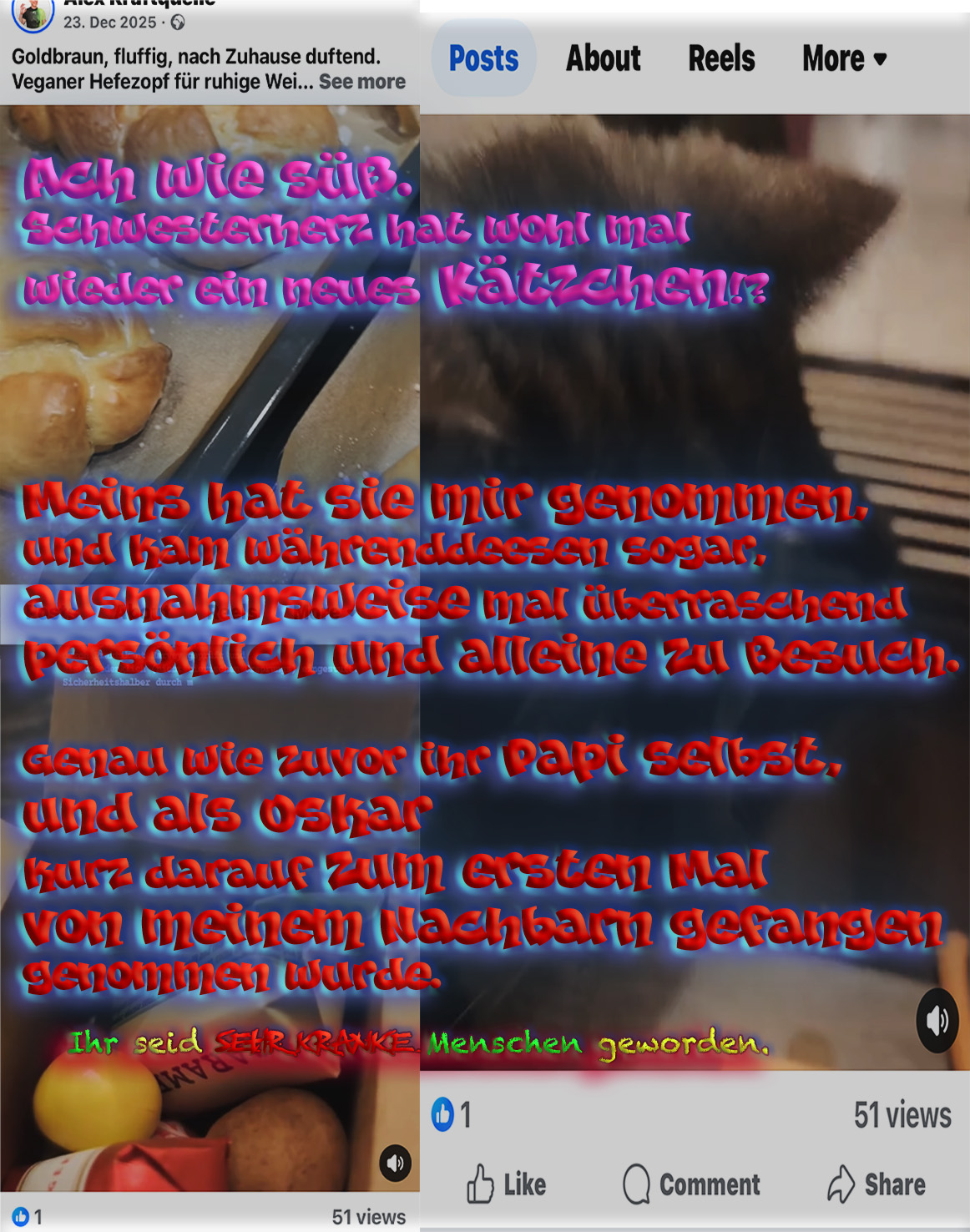 schwesterhez-katzchen Die zweite Entf&uuml;hrung von Oskar ist "amtlich" f&uuml;r mich, nachdem er eine ganze Woche weg ist