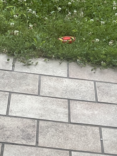 Neues Souvenir aus klein Syrien...